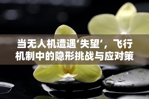 当无人机遭遇‘失望’，飞行机制中的隐形挑战与应对策略