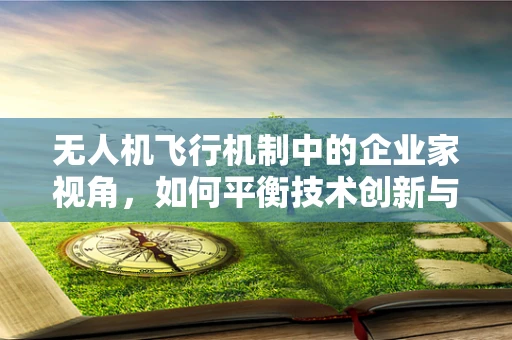 无人机飞行机制中的企业家视角，如何平衡技术创新与法规合规？