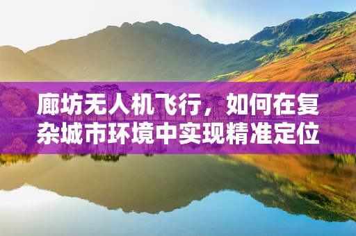 廊坊无人机飞行，如何在复杂城市环境中实现精准定位与避障？