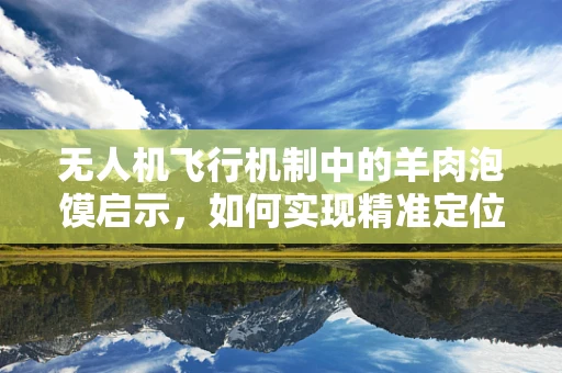 无人机飞行机制中的羊肉泡馍启示，如何实现精准定位与避障？