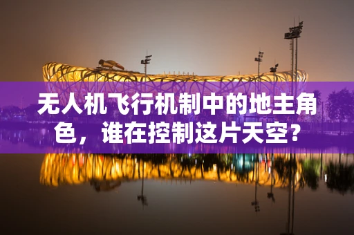 无人机飞行机制中的地主角色，谁在控制这片天空？