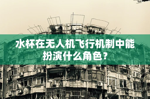 水杯在无人机飞行机制中能扮演什么角色？