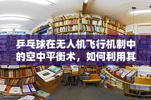 乒乓球在无人机飞行机制中的空中平衡术，如何利用其特性优化稳定性？