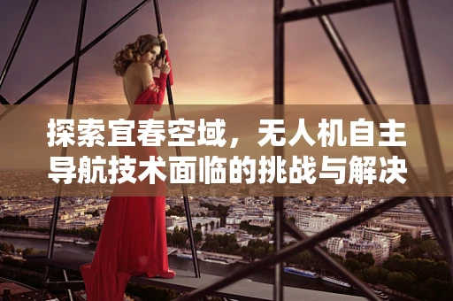 探索宜春空域，无人机自主导航技术面临的挑战与解决方案