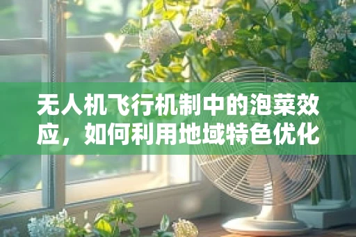 无人机飞行机制中的泡菜效应，如何利用地域特色优化飞行路径？