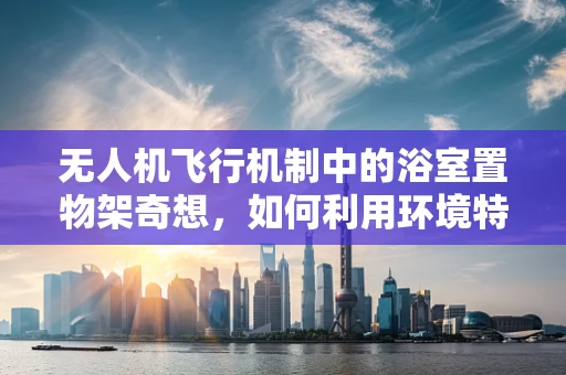 无人机飞行机制中的浴室置物架奇想，如何利用环境特征优化避障？