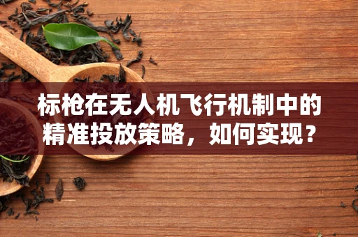 标枪在无人机飞行机制中的精准投放策略，如何实现？