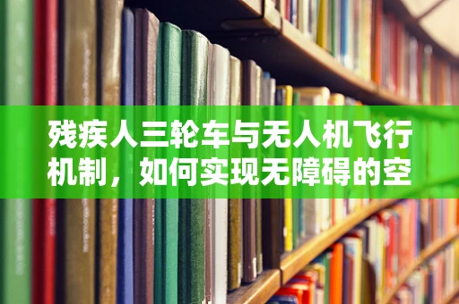 残疾人三轮车与无人机飞行机制，如何实现无障碍的空中出行？