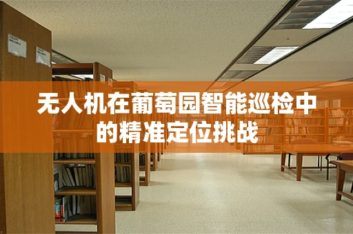 无人机在葡萄园智能巡检中的精准定位挑战