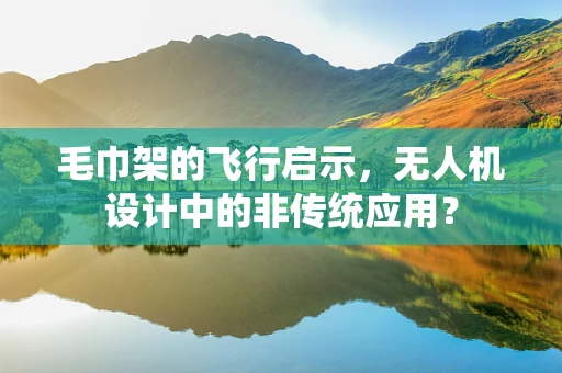 毛巾架的飞行启示，无人机设计中的非传统应用？