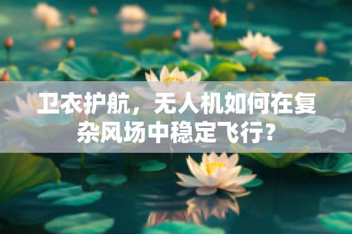 卫衣护航，无人机如何在复杂风场中稳定飞行？
