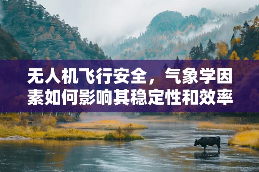无人机飞行安全，气象学因素如何影响其稳定性和效率？