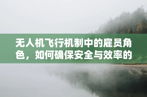 无人机飞行机制中的雇员角色，如何确保安全与效率的平衡？
