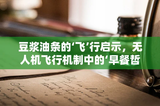 豆浆油条的‘飞’行启示，无人机飞行机制中的‘早餐哲学’