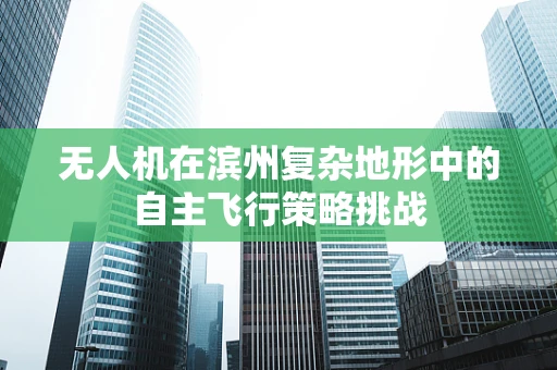 无人机在滨州复杂地形中的自主飞行策略挑战