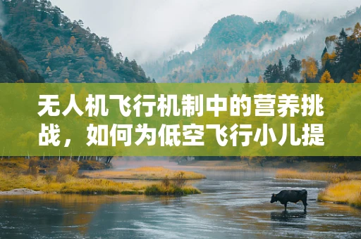 无人机飞行机制中的营养挑战，如何为低空飞行小儿提供均衡营养？