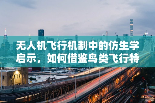 无人机飞行机制中的仿生学启示，如何借鉴鸟类飞行特性优化无人机性能？