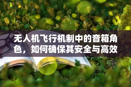 无人机飞行机制中的音箱角色，如何确保其安全与高效？