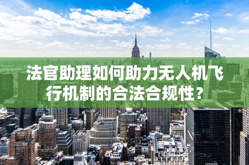 法官助理如何助力无人机飞行机制的合法合规性？