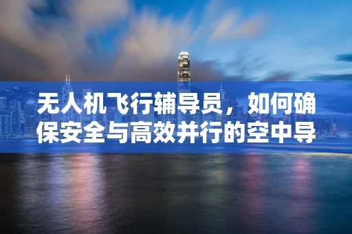 无人机飞行辅导员，如何确保安全与高效并行的空中导航？