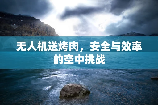 无人机送烤肉，安全与效率的空中挑战