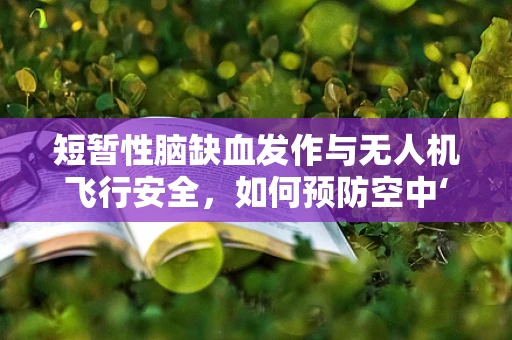 短暂性脑缺血发作与无人机飞行安全，如何预防空中‘迷失’？