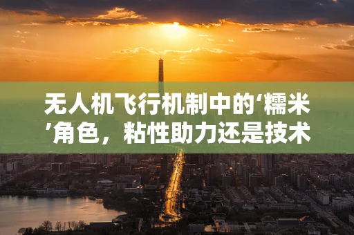 无人机飞行机制中的‘糯米’角色，粘性助力还是技术误用？