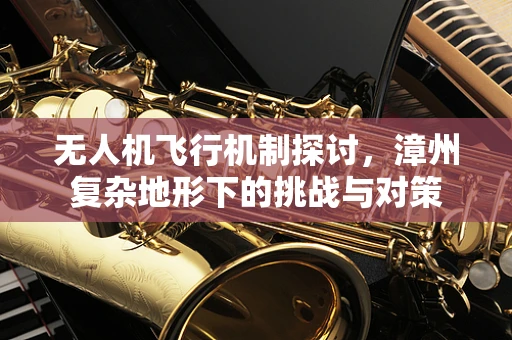 无人机飞行机制探讨，漳州复杂地形下的挑战与对策