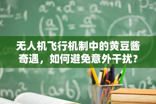 无人机飞行机制中的黄豆酱奇遇，如何避免意外干扰？