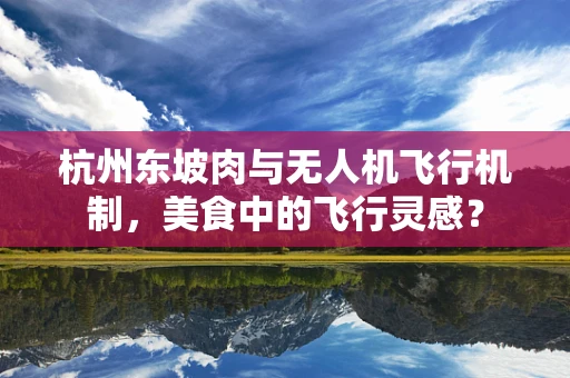 杭州东坡肉与无人机飞行机制，美食中的飞行灵感？