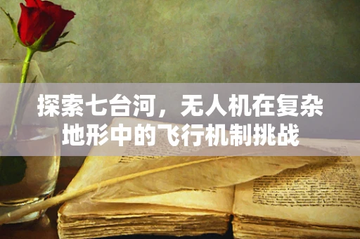 探索七台河，无人机在复杂地形中的飞行机制挑战
