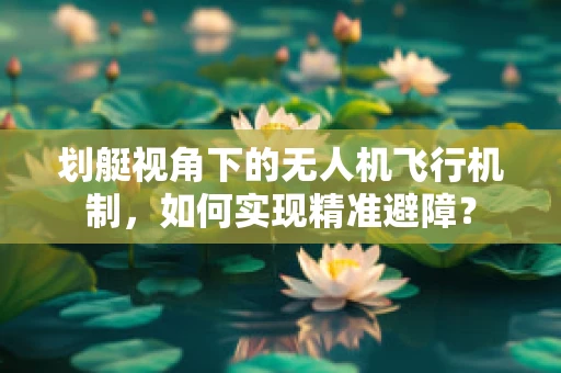 划艇视角下的无人机飞行机制，如何实现精准避障？