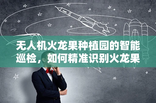无人机火龙果种植园的智能巡检，如何精准识别火龙果成熟度？