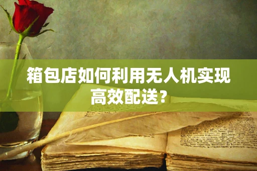 箱包店如何利用无人机实现高效配送？