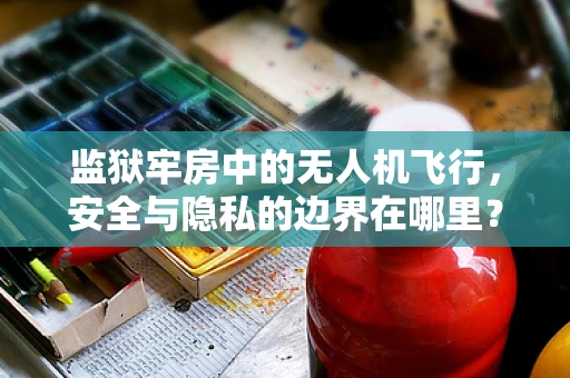 监狱牢房中的无人机飞行，安全与隐私的边界在哪里？