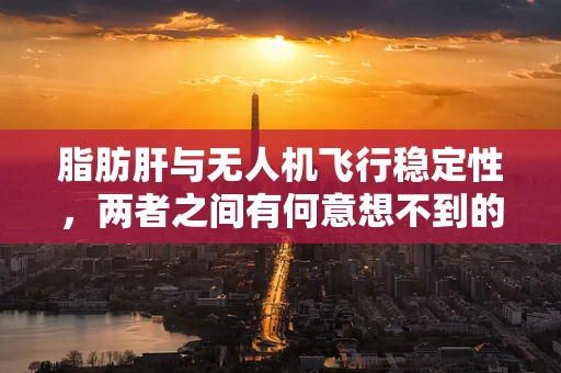 脂肪肝与无人机飞行稳定性，两者之间有何意想不到的联系？