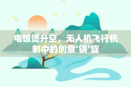 电饭煲升空，无人机飞行机制中的创意‘锅’旋
