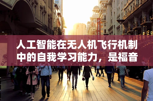 人工智能在无人机飞行机制中的自我学习能力，是福音还是挑战？
