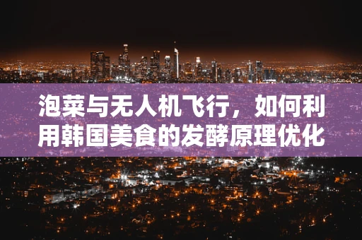 泡菜与无人机飞行，如何利用韩国美食的发酵原理优化无人机电池性能？