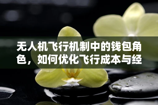无人机飞行机制中的钱包角色，如何优化飞行成本与经济效益？