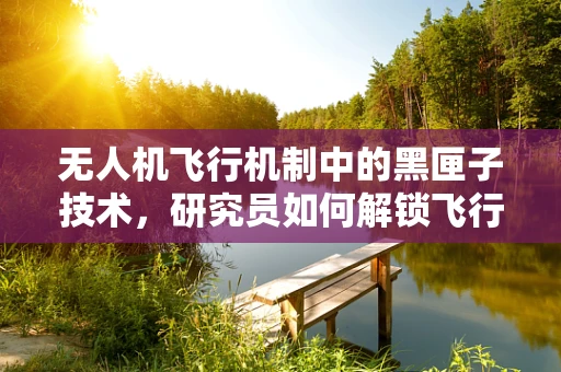 无人机飞行机制中的黑匣子技术，研究员如何解锁飞行安全新密码？