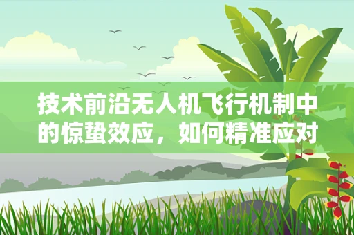 技术前沿无人机飞行机制中的惊蛰效应，如何精准应对环境突变？