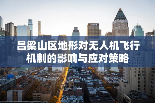 吕梁山区地形对无人机飞行机制的影响与应对策略