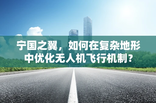 宁国之翼，如何在复杂地形中优化无人机飞行机制？