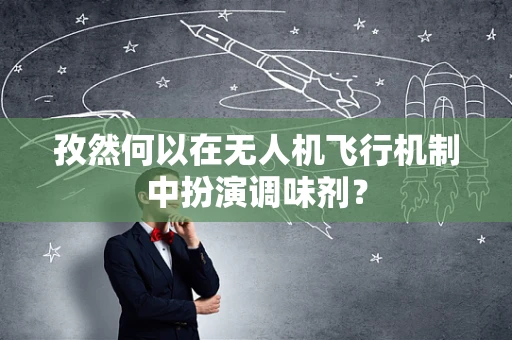 孜然何以在无人机飞行机制中扮演调味剂？