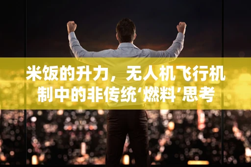 米饭的升力，无人机飞行机制中的非传统‘燃料’思考