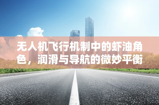 无人机飞行机制中的虾油角色，润滑与导航的微妙平衡