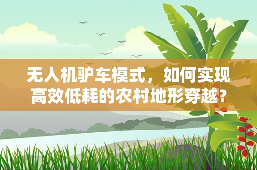 无人机驴车模式，如何实现高效低耗的农村地形穿越？