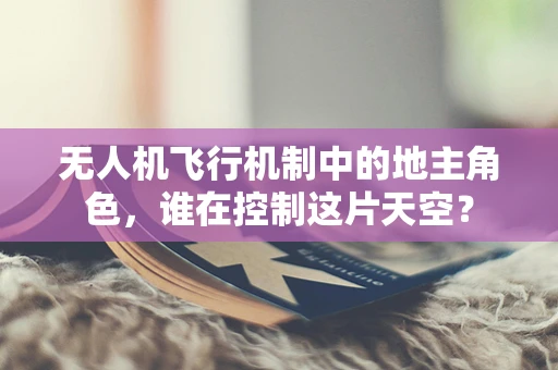 无人机飞行机制中的地主角色，谁在控制这片天空？