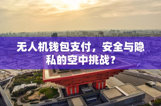 无人机钱包支付，安全与隐私的空中挑战？